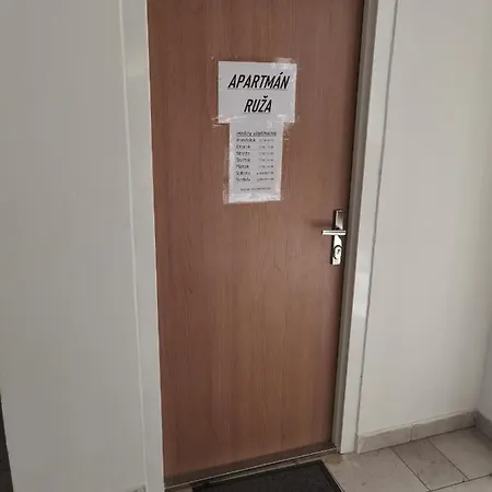 Ruža *